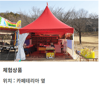 상록리조트 놀이공원