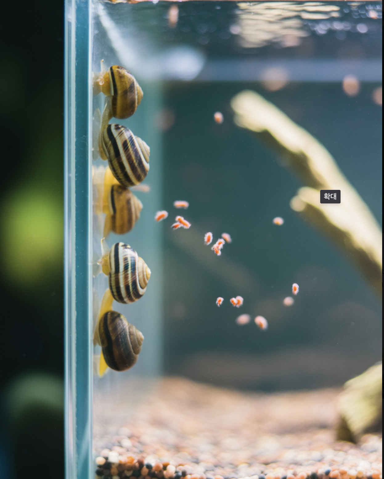 실수 1: &amp;#39;아무 사료나 먹겠지&amp;#39;라는 착각