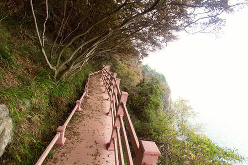 가을 섬^ 교동도&amp;#44; 대부도&amp;#44; 금오도&amp;#44; 조도&amp;#44; 추자도&amp;#44; 5개의 섬 여행