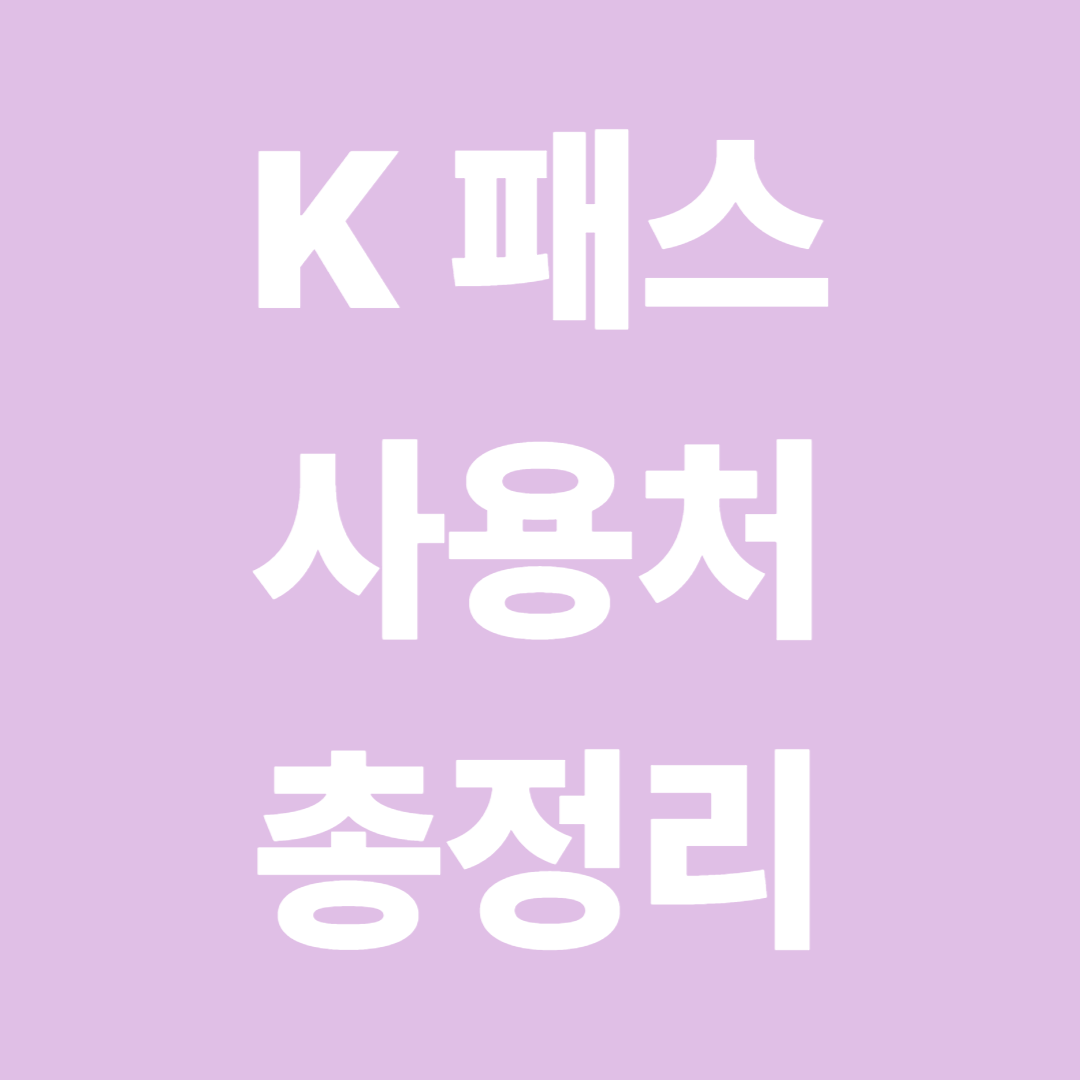 2025 K패스 사용처 총정리