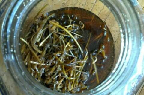 삼채효소-담그기-거르기-걸르기