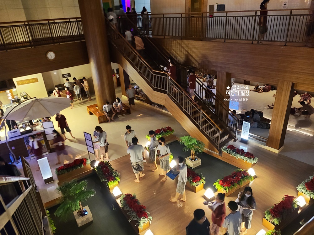 가을 나들이 부산 추천 BEST 07 가을여행 가볼만한곳 센텀스파랜드, 깡통야시장, 안데르센동화마을