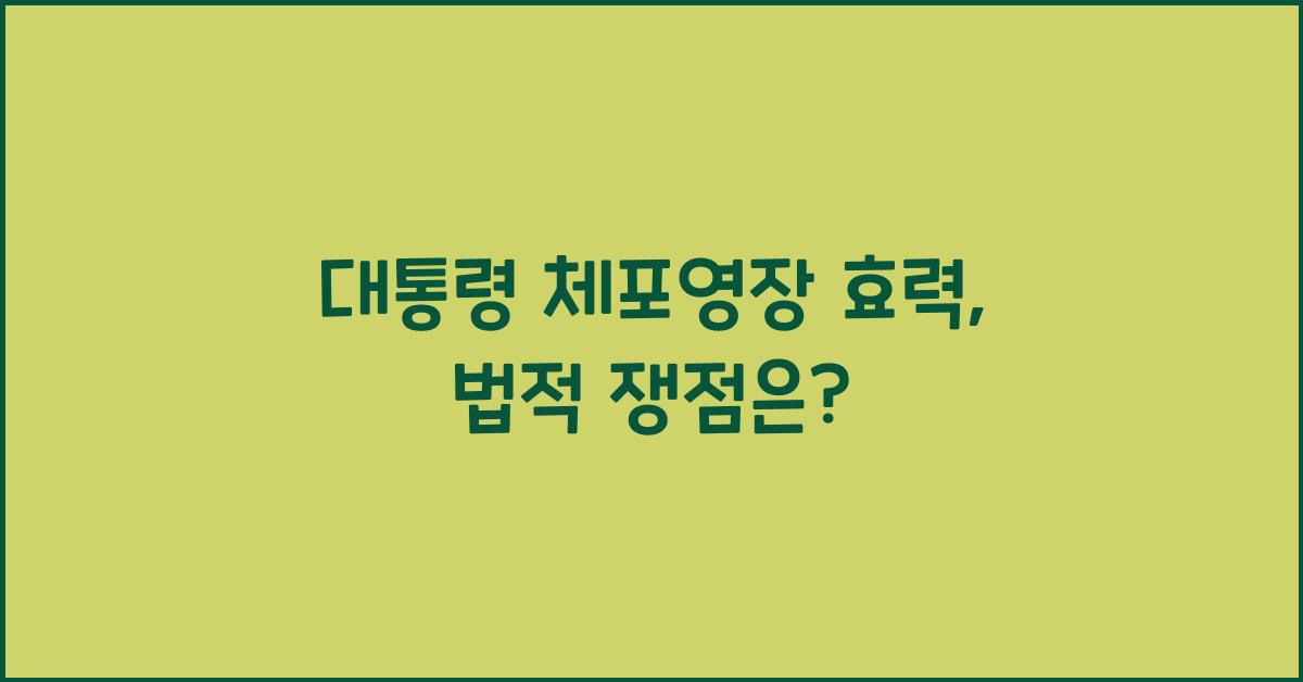 대통령 체포영장 효력