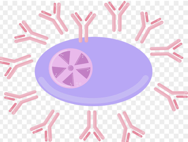 Single-cell Metabolomics & LC-MS/MS: 종양 이질성 분석 전략