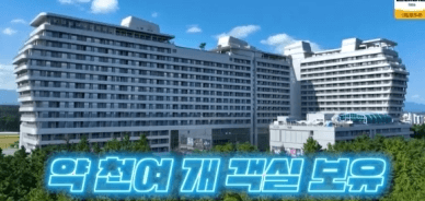 세인트존스 강릉호텔 김헌성대표 재산 차 인스타