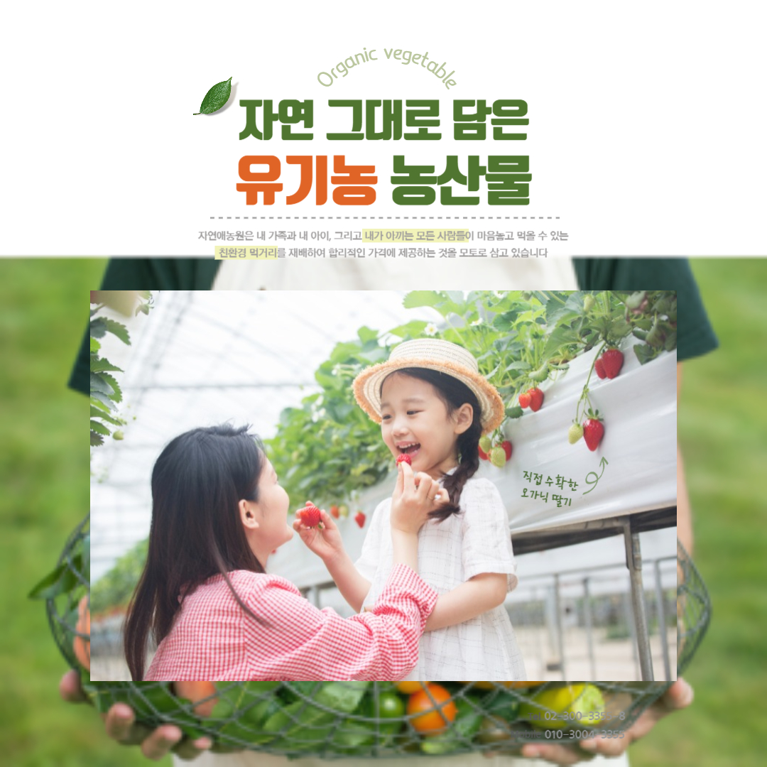 에코이몰