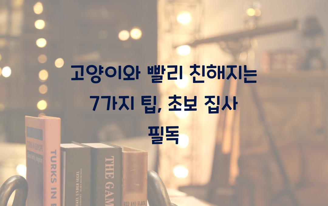 고양이와 빨리 친해지는 7가지 팁