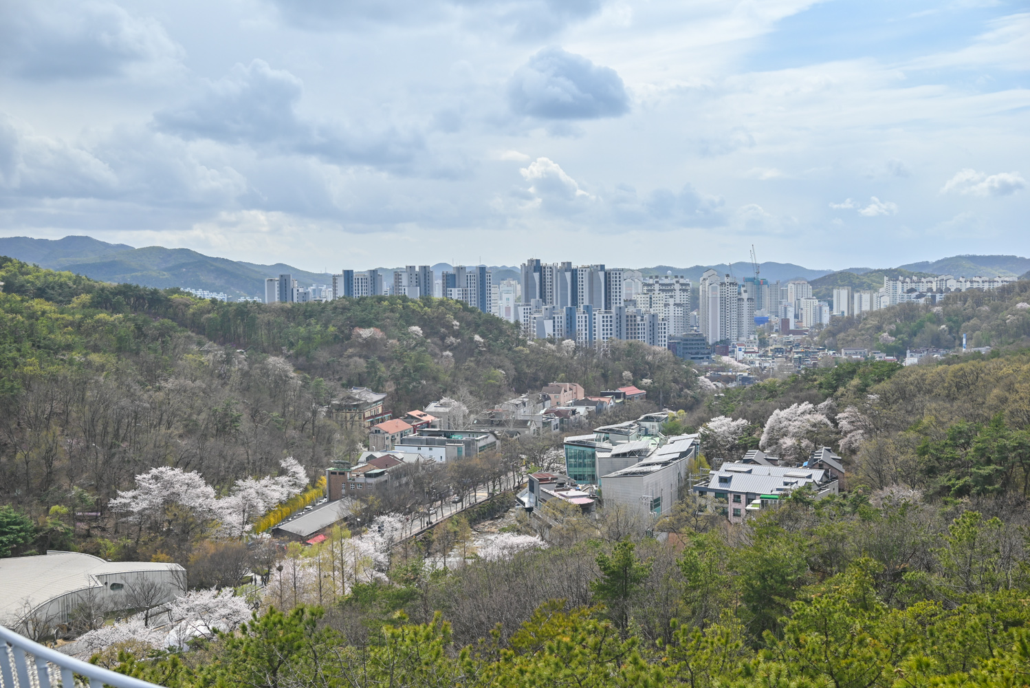 안양예술공원은 벚꽃 명소