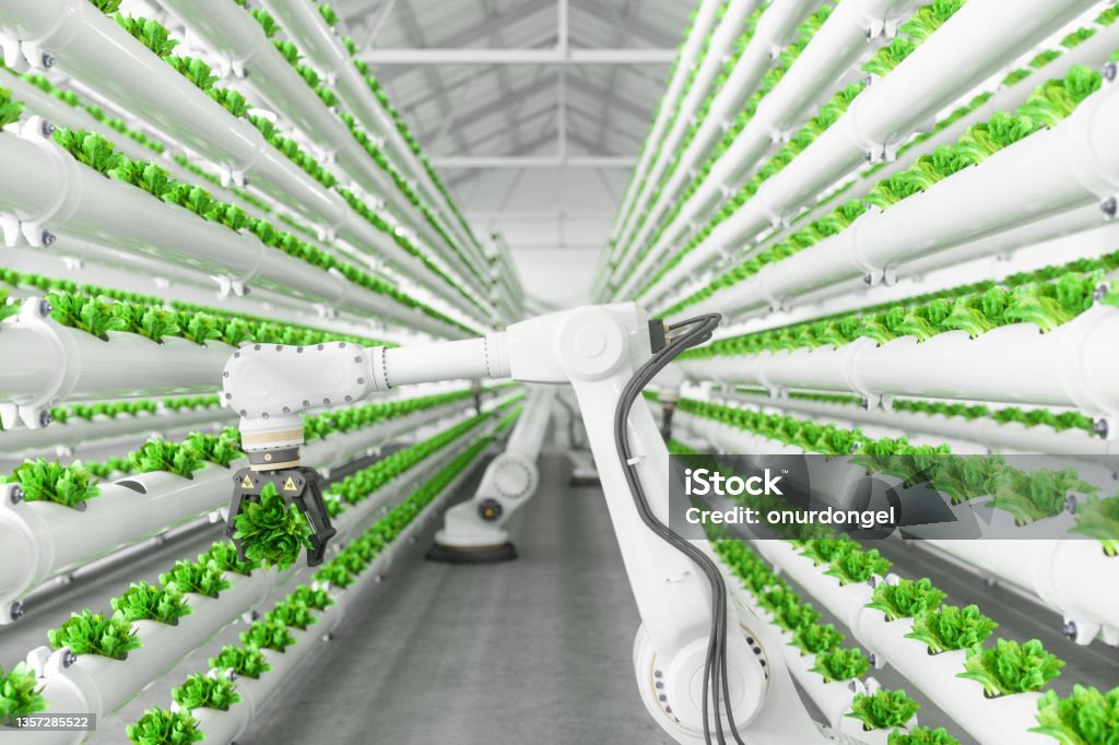 친환경 스마트 가드닝: 지속 가능한 생활의 시작