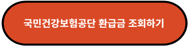 국민건강보험공단 환급금 조회하기
