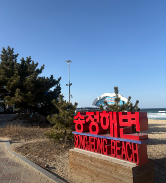 강릉 가볼만한곳 10곳 송정해변