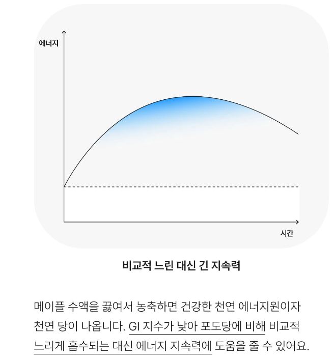 에너지젤 메이플 수액