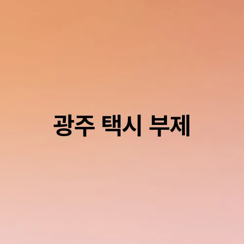 광주 택시 부제