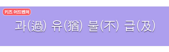 과유불급 한자사전 뜻 보기