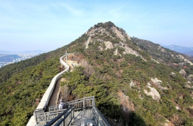 인왕산 산불 진화 98% 소식