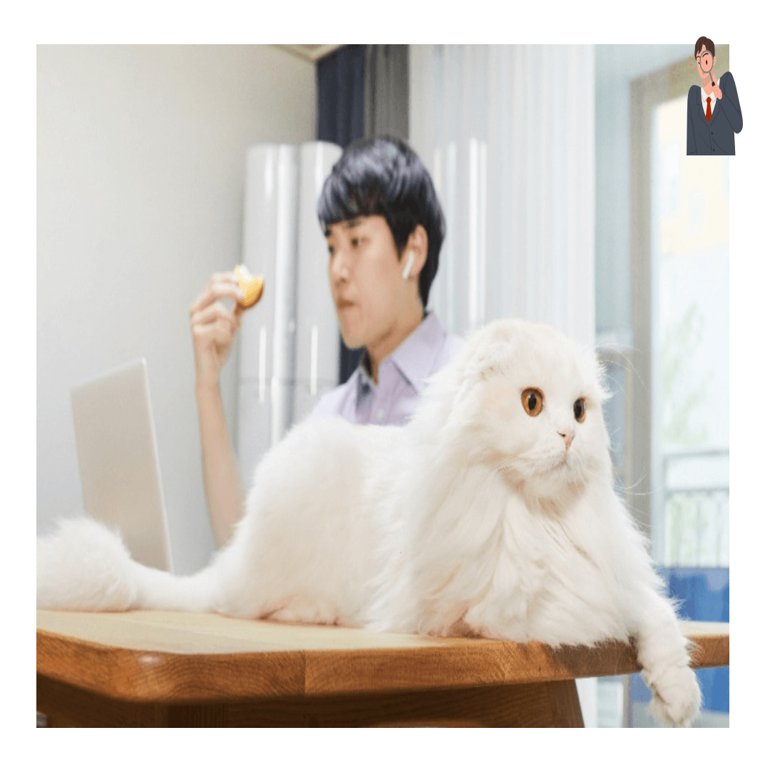 청년 사진