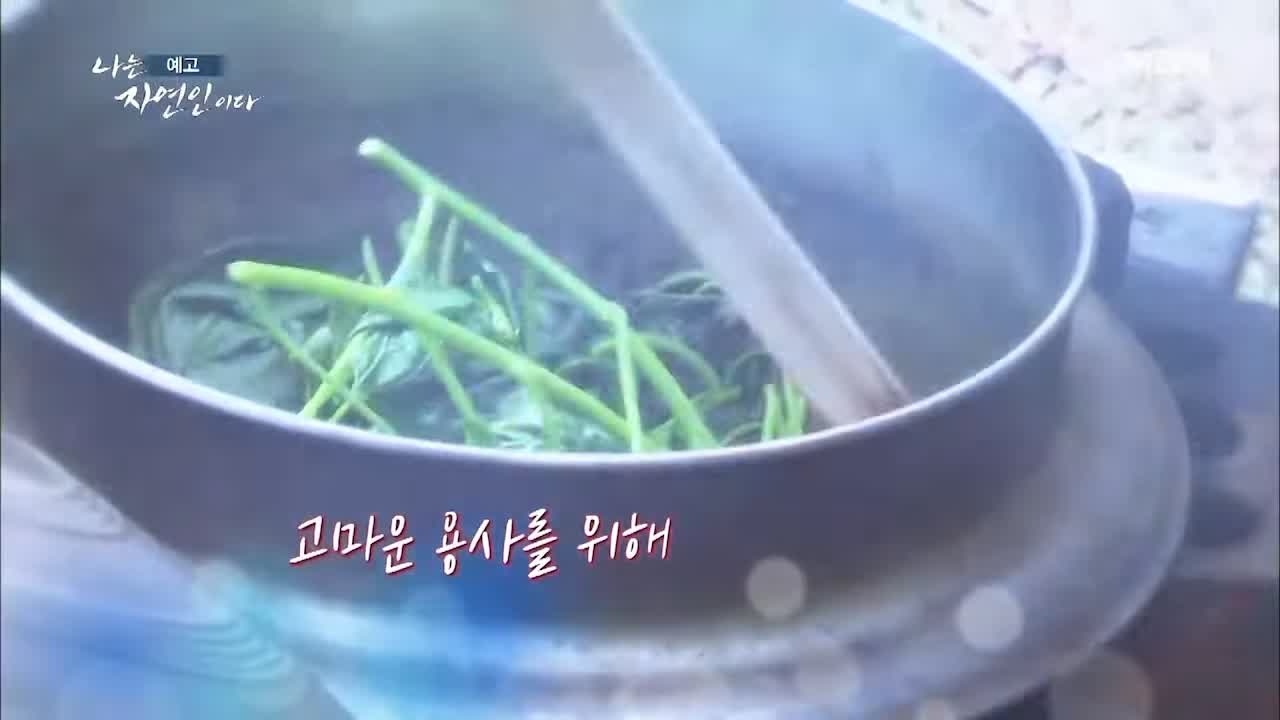 이승윤 윤택 나는 자연인이다 511회 나의 첫 독립일기 자연인 이영숙 소개 및 출연 다시보기
