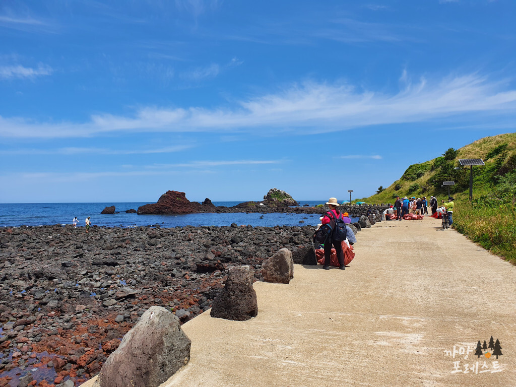 비양도 봉사활동