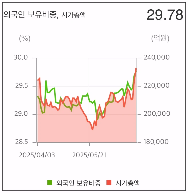 포스코홀딩스-외국인비중-그래프