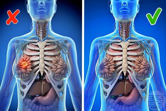 당근주스 효능 항암 암세포사멸