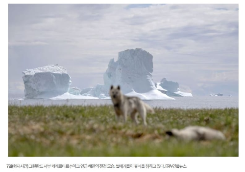'그린란드 짐착남' 된 트럼프, 그 이유가?