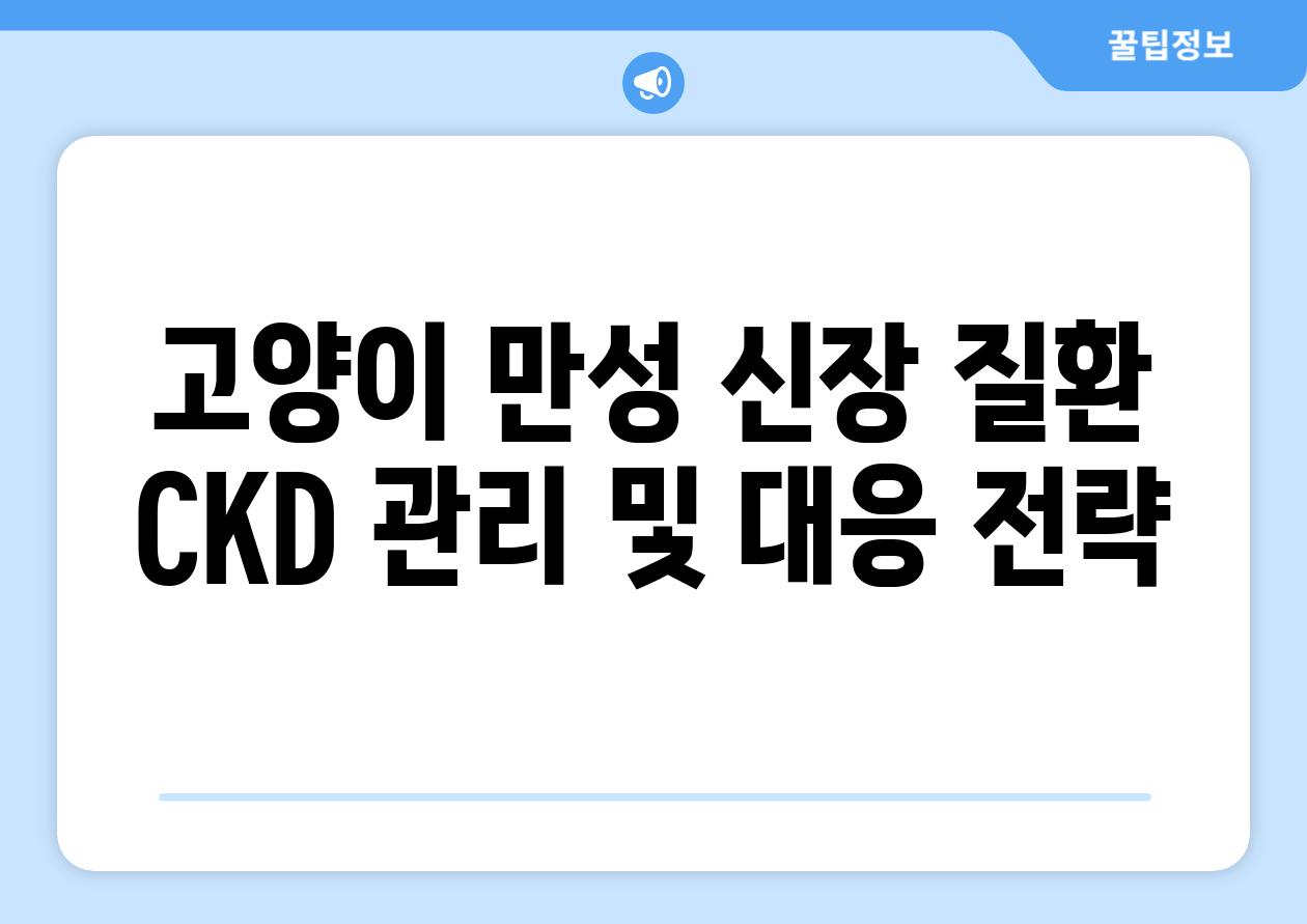 고양이 만성 신장 질환 CKD 관리 및 대응 전략