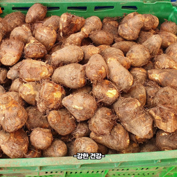 토란 부작용