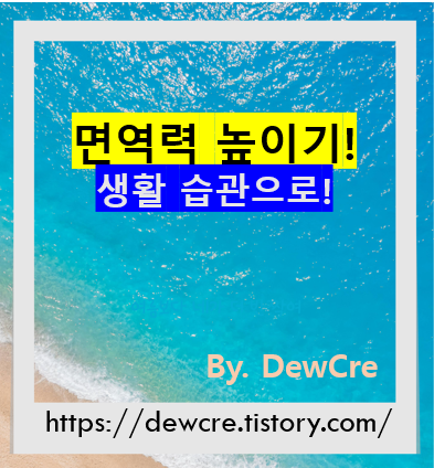 면역력을 높이는 생활습관, 건강을 지키는 첫걸음