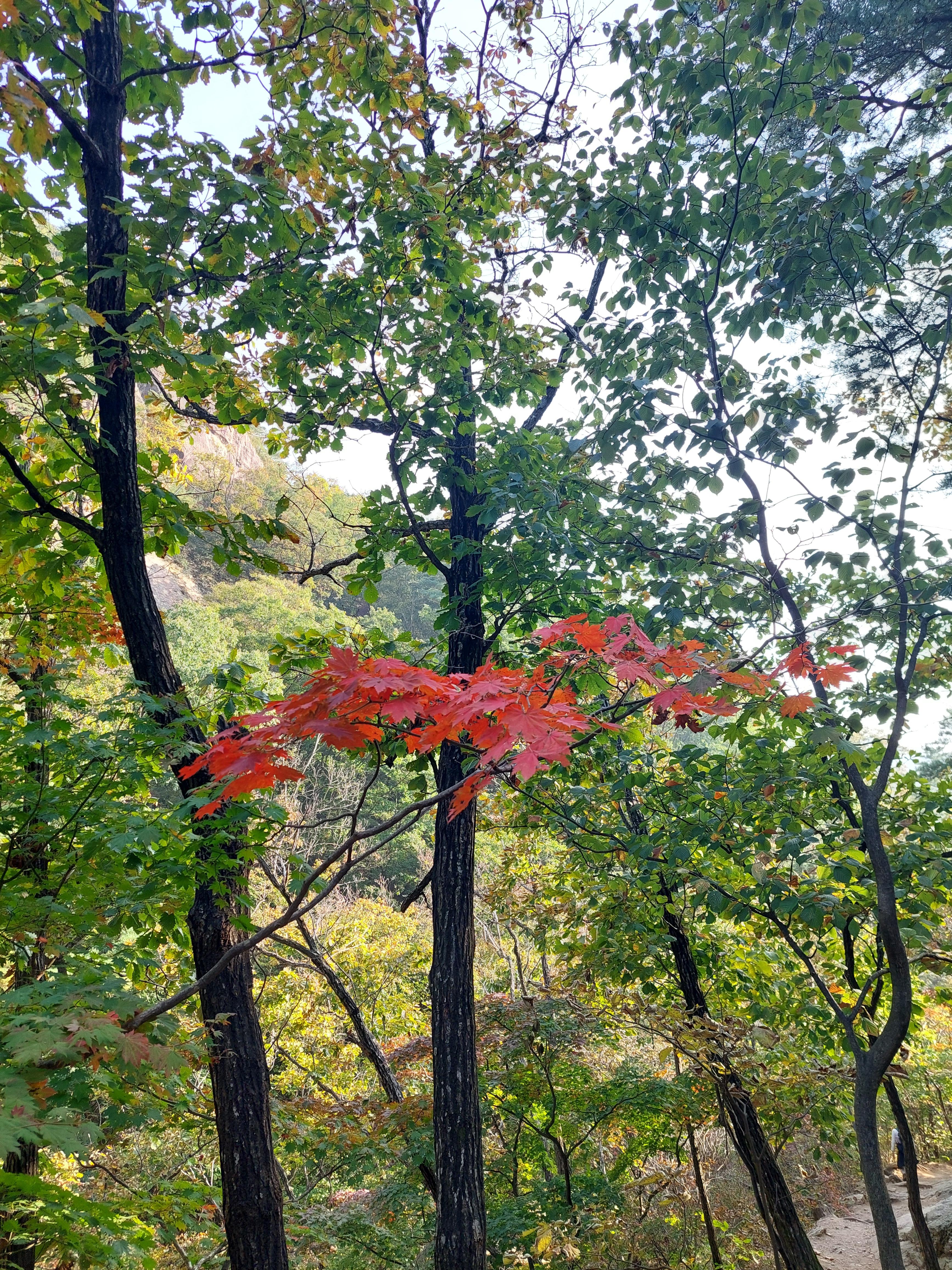 명성산