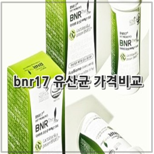 bnr17 유산균 가격비교