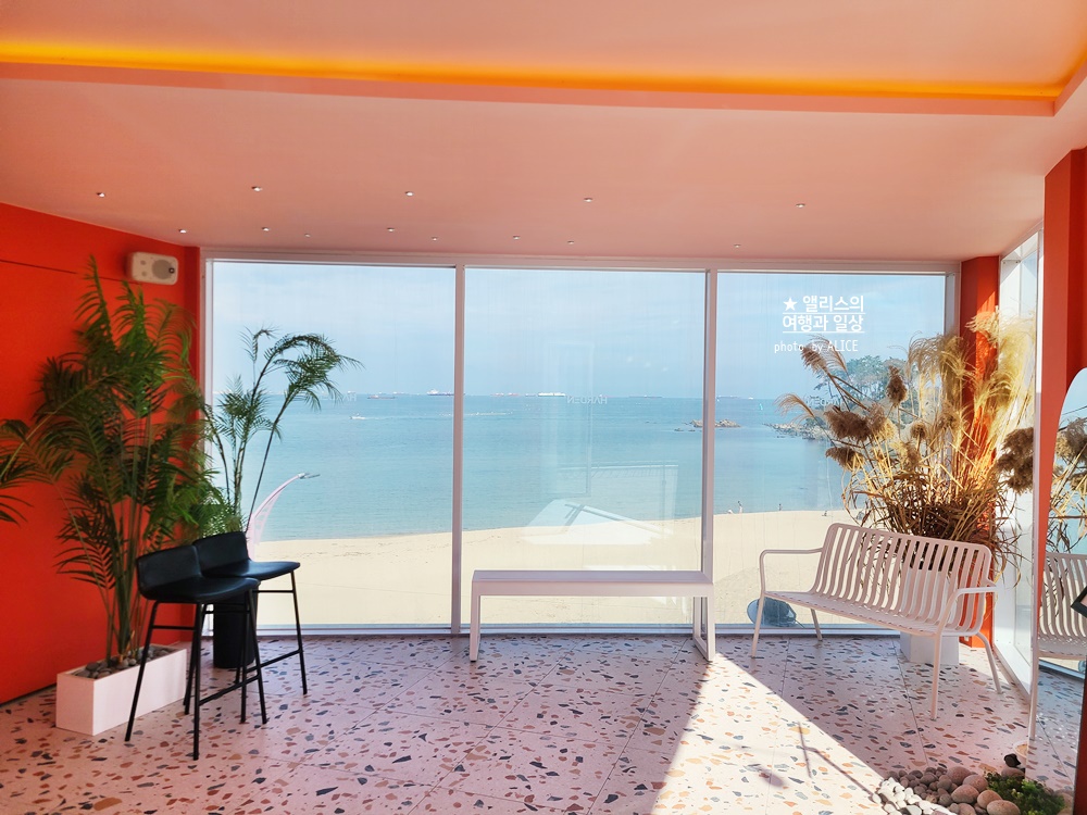 울산 진하해수욕장 오션뷰 카페 하든 솔직 후기