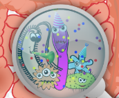 지방간에 좋은 음식 10, 지방간에 좋은 차 – 지방간 원인 증상