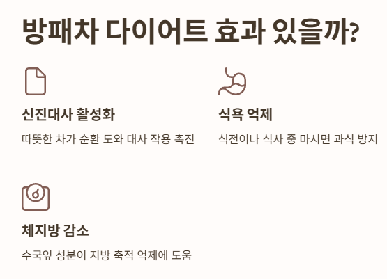 방패차 다이어트