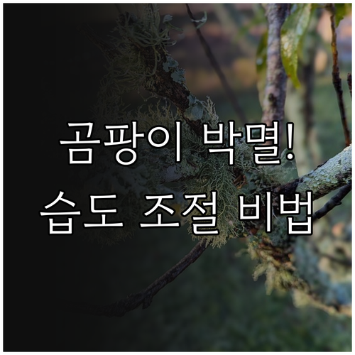 실내 습도 조절과 공기 순환을 통한 ..