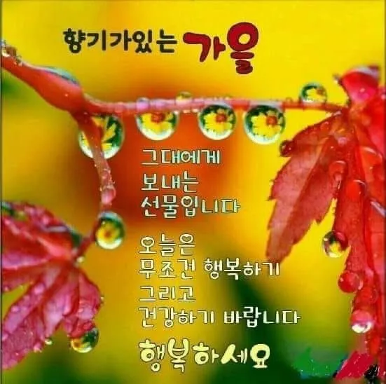 가을 인사말 문구 모음 정리_5
