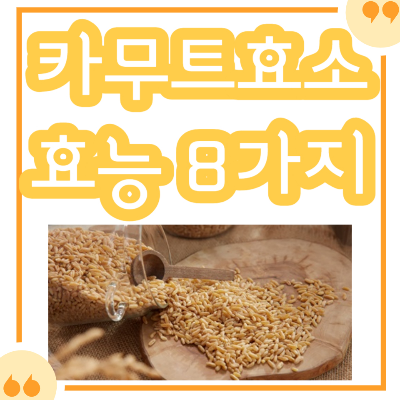 카무트 효소 효능