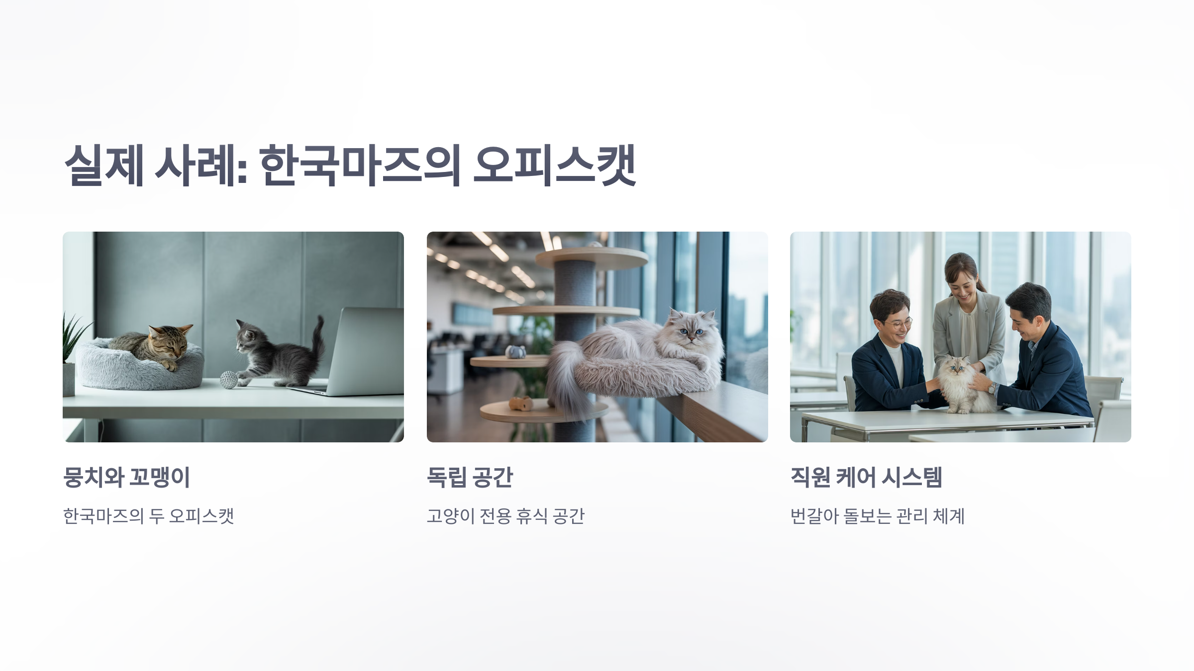 참조-고양이-비서직-3