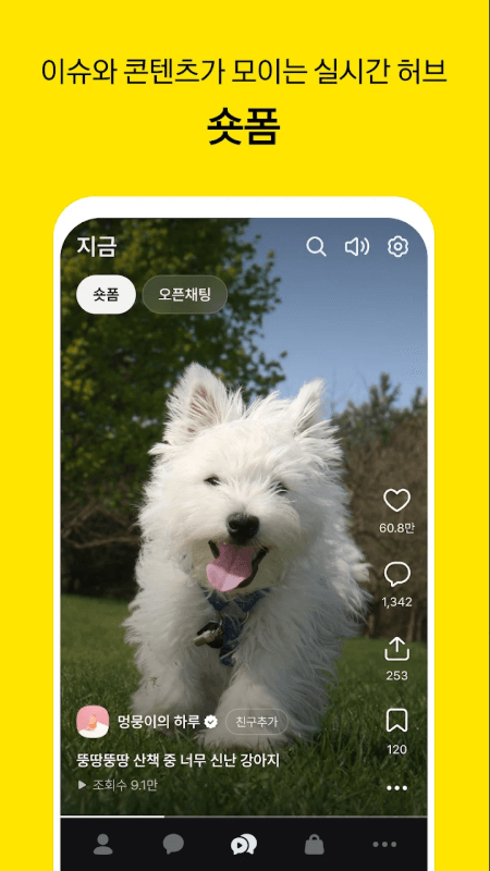 카카오톡 업데이트