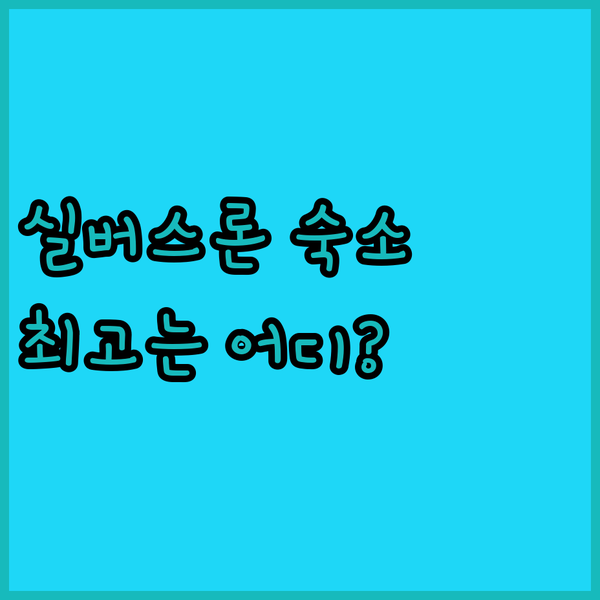 실버스론 숙소 탐험기 힙스터 호스텔부