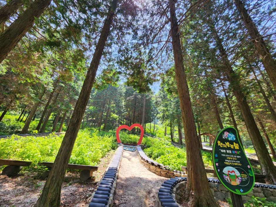 경남 고성 가볼만한곳 베스트10