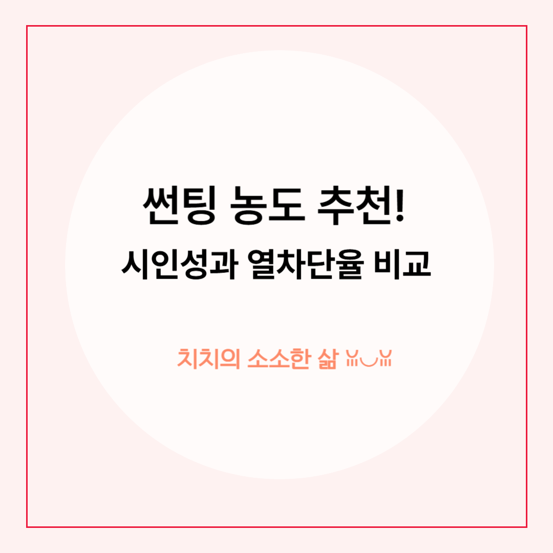 자동차 썬팅 농도 추천과 불법 기준