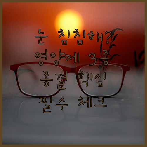 눈 침침할 때 먹는 루테인 지아잔틴 ..