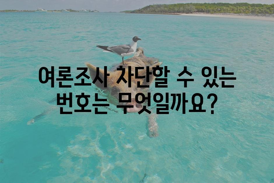 샘플 (1)