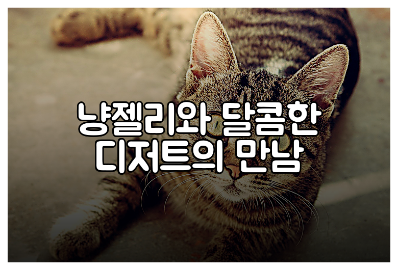 냥젤리와 달콤한 디저트의 만남