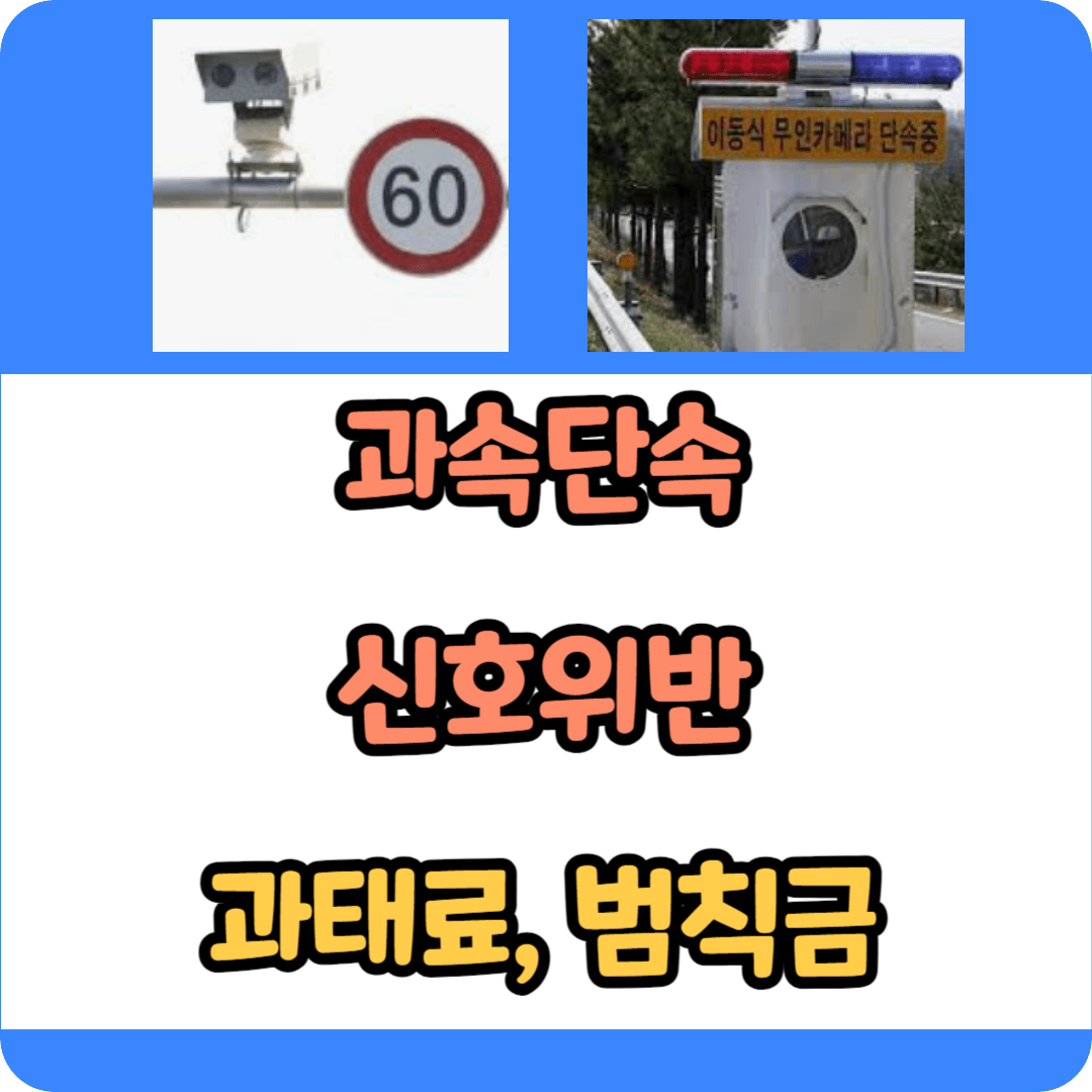 과속단속 조회 신호위반 과태료 납부 바로가기 - 범칙금 전환