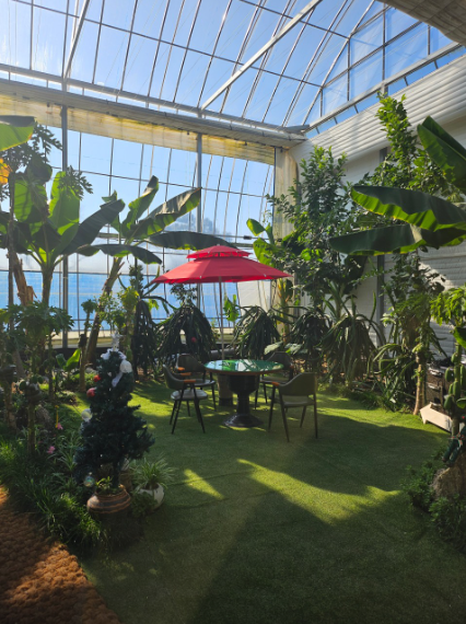 생생정보 가수 홍경민의 전남 함평 나비대축제 한옥전원마을 화랑식당 바나나 생태나라 정보