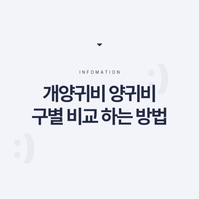 개양귀비 양귀비 구별 법 비교