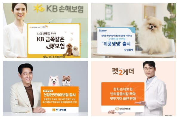 국내 보험사의 펫보험 상품들