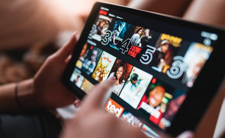 넷플릭스 이용 시 유의사항