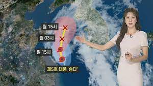 태풍